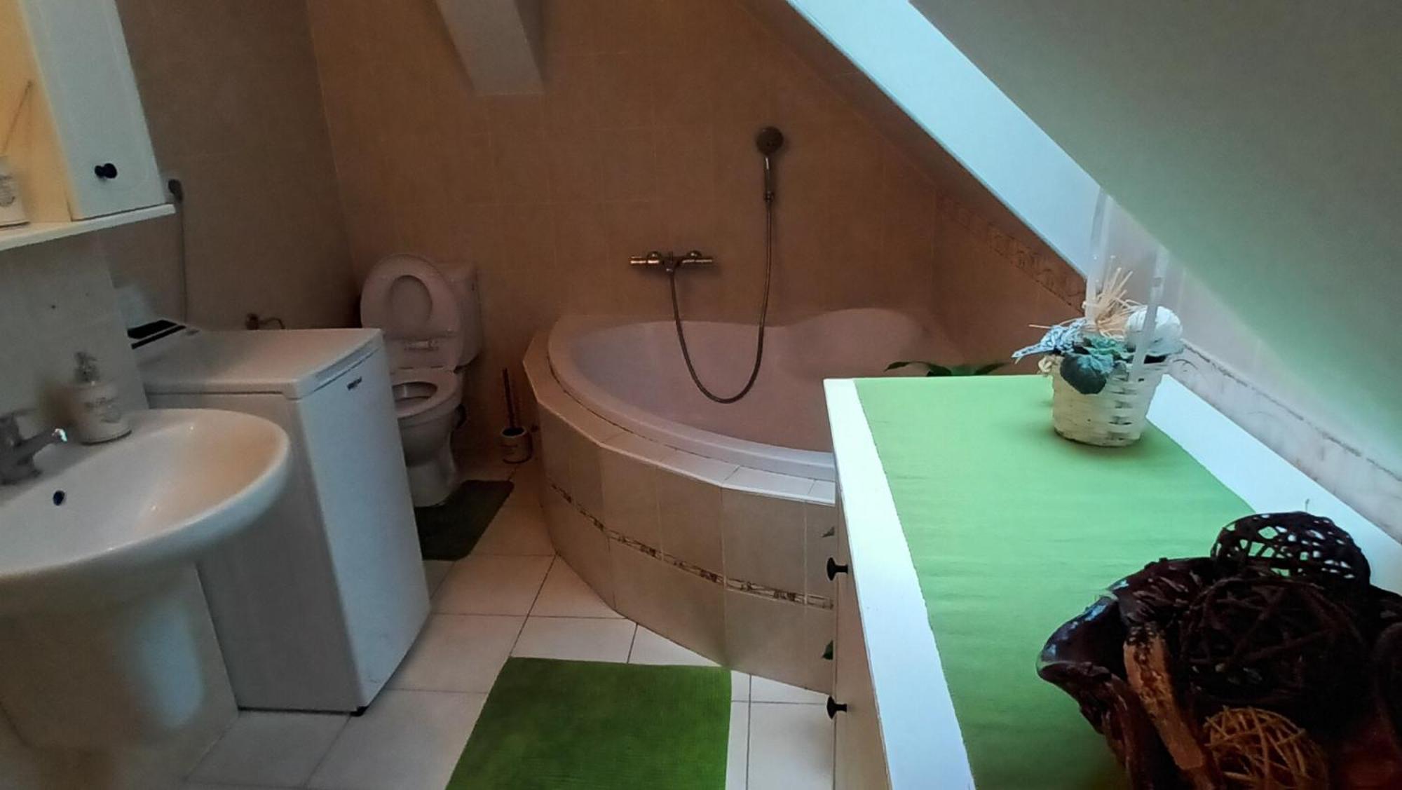 Apartmany Pod Putimskou Branou Pisek  Exterior photo